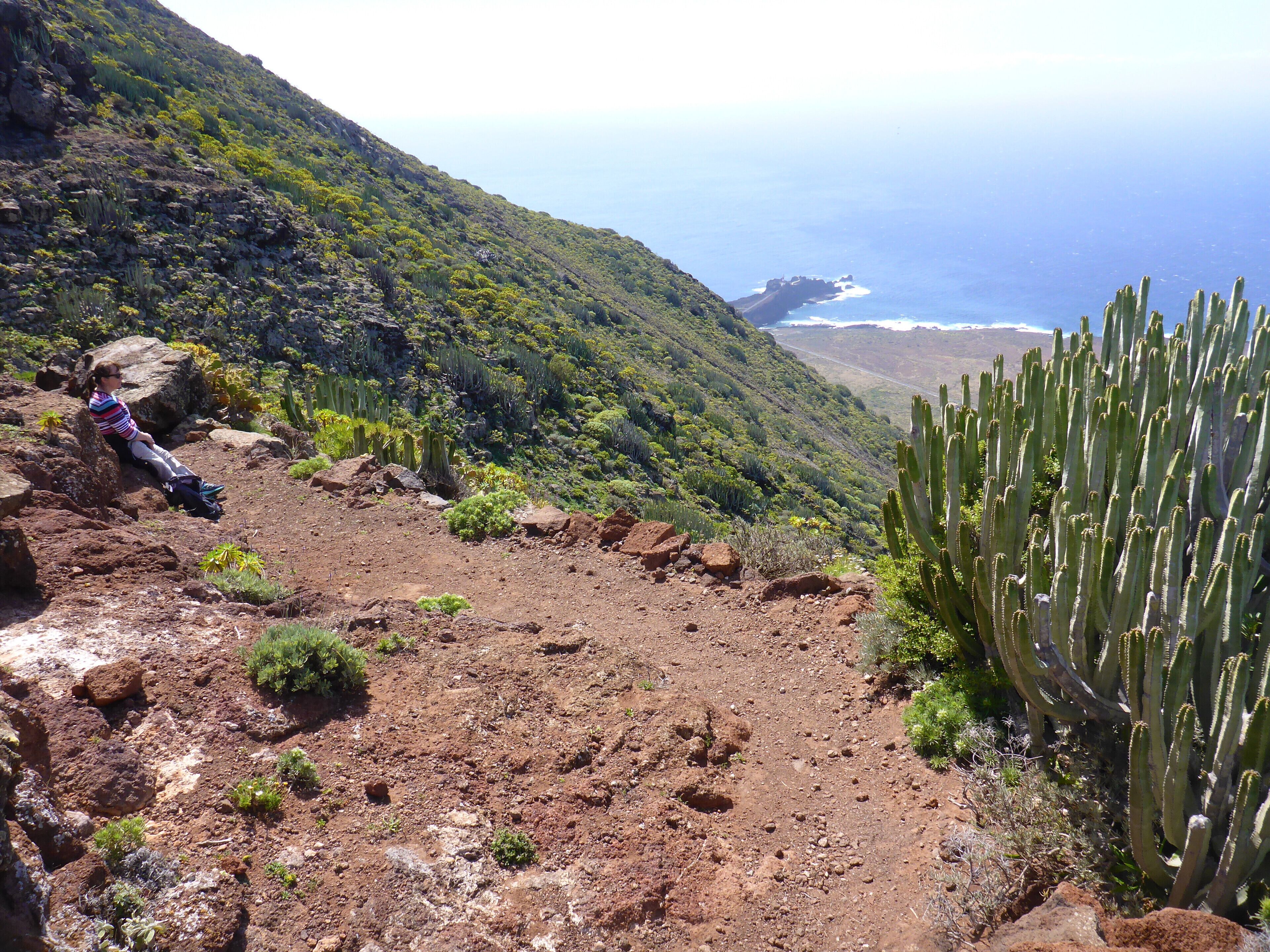 Although Tenerife is more noted for beach holidays, the island has a truly beautiful natural side which provides fantastic hiking, such as here from Teno down to the Punto de Teno. While stopping for lunch on this walk we were surronded by about twenty lizards who all had a taste for pears apparently.
