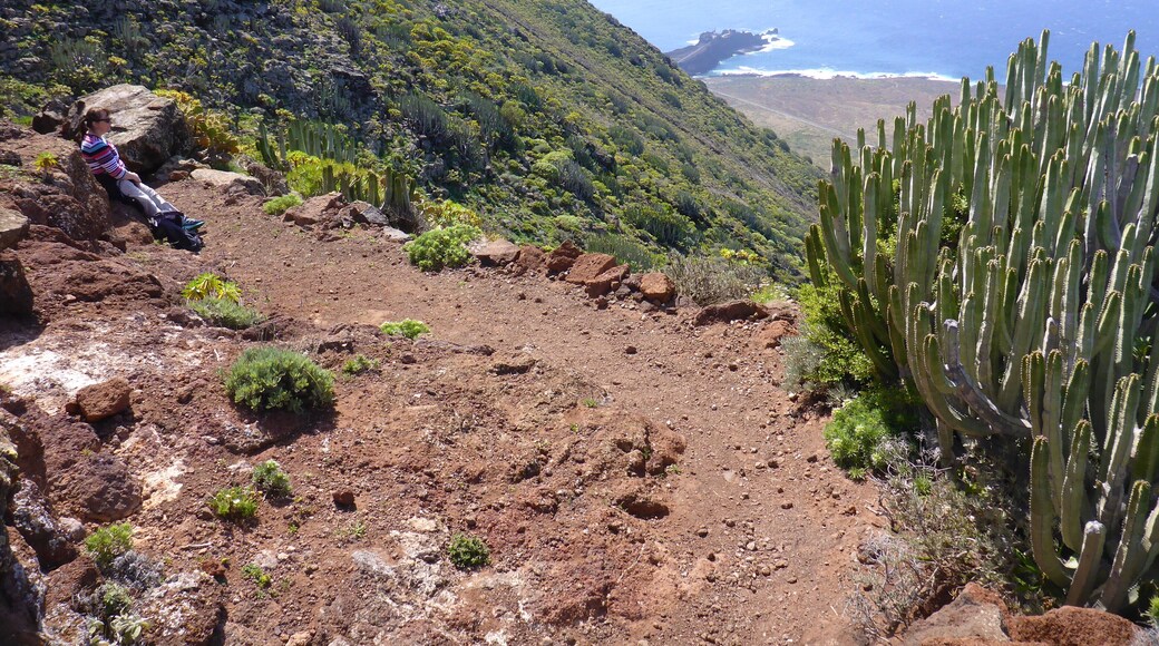 Although Tenerife is more noted for beach holidays, the island has a truly beautiful natural side which provides fantastic hiking, such as here from Teno down to the Punto de Teno. While stopping for lunch on this walk we were surronded by about twenty lizards who all had a taste for pears apparently.