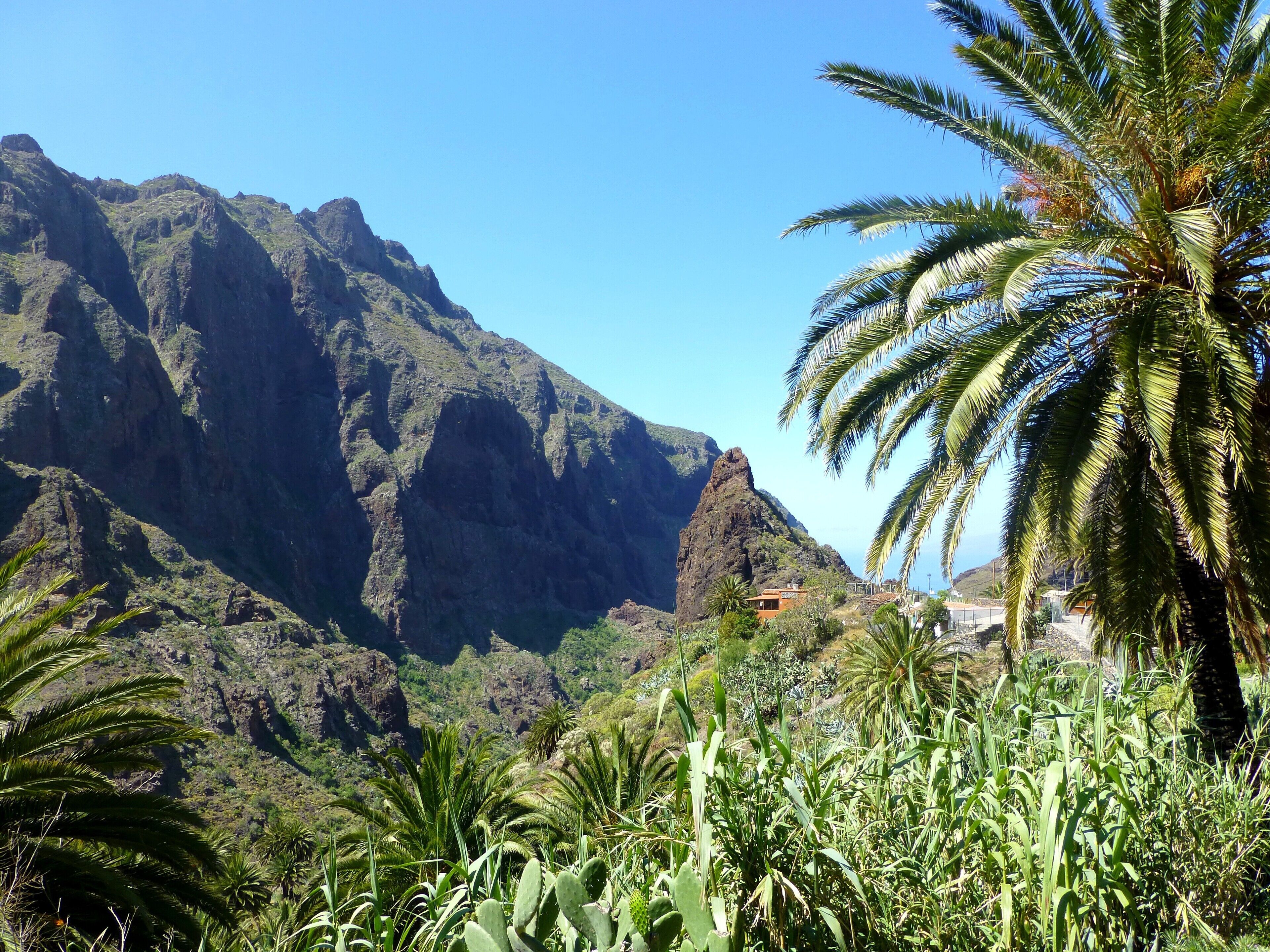 Teneriffa – Tenogebirge - Masca-Schlucht