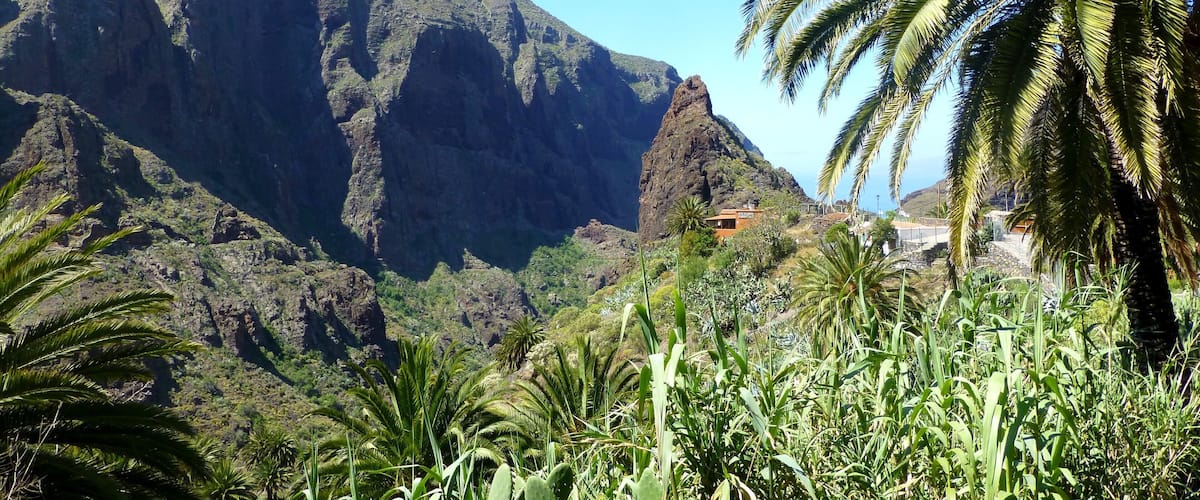 Teneriffa – Tenogebirge - Masca-Schlucht