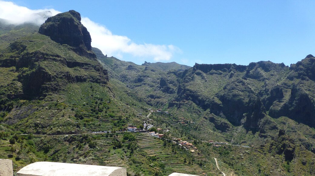 Teneriffa – Tenogebirge – Las Porteles