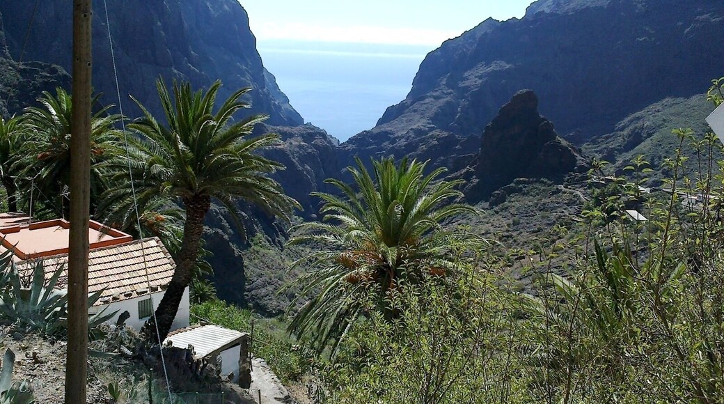 Canaries Tenerife Teno TF 436 Vue Masca