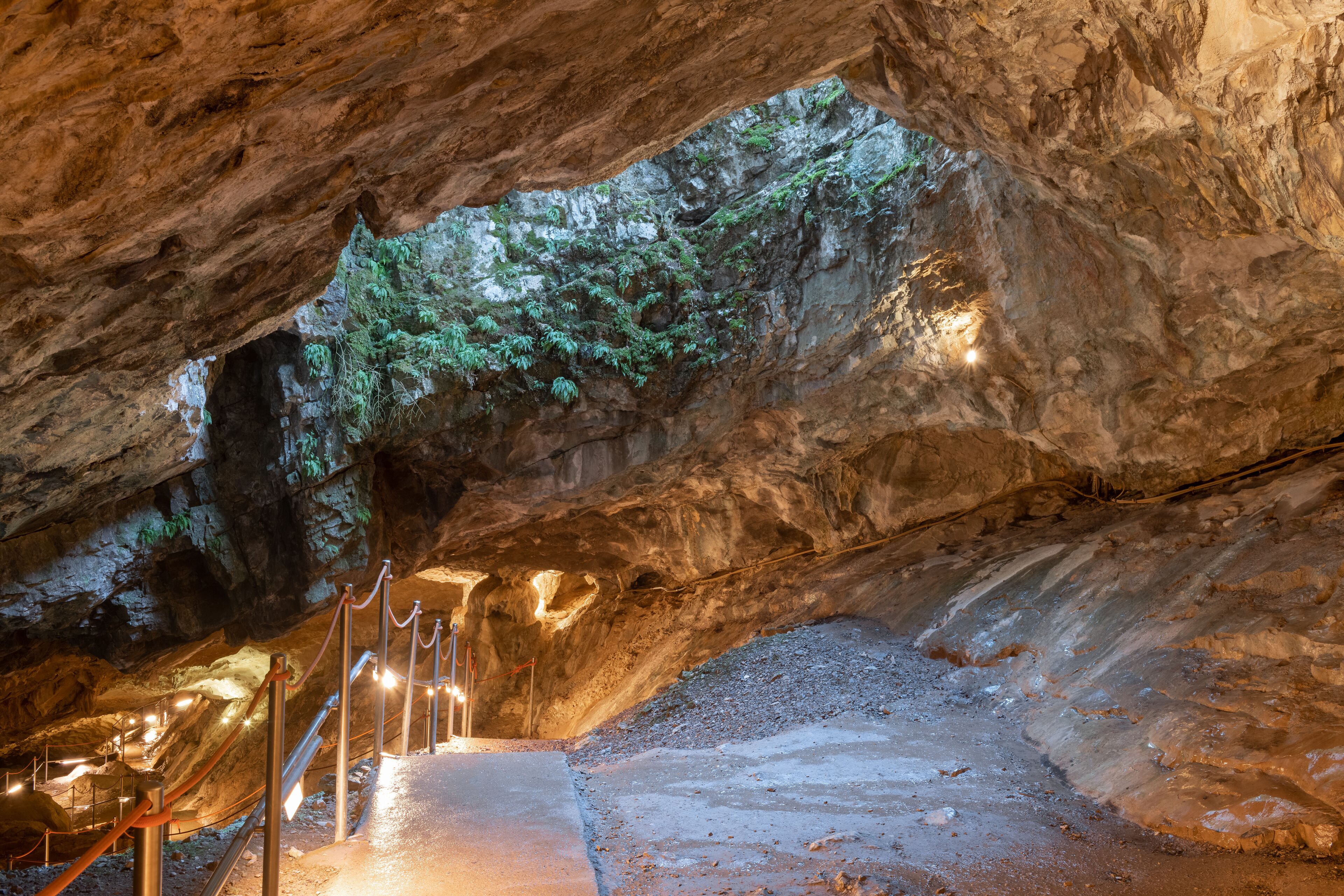 A cave with a wooden staircase leading to a higher level.