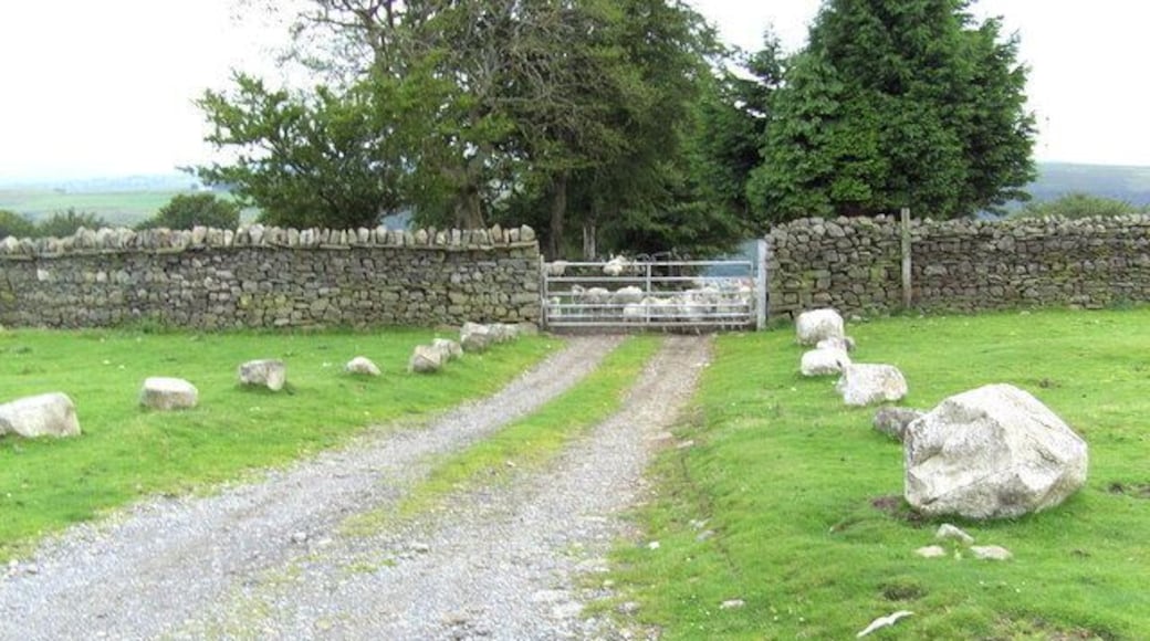 Pen-yr-heol The farm road leading to Pen-yr-heol. You can see some mountain sheep just the other side of the gate.