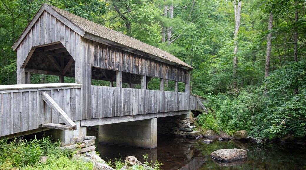 Wooden Covered bridge over a small river in a lush green forest at Devil's Hopyard State Park