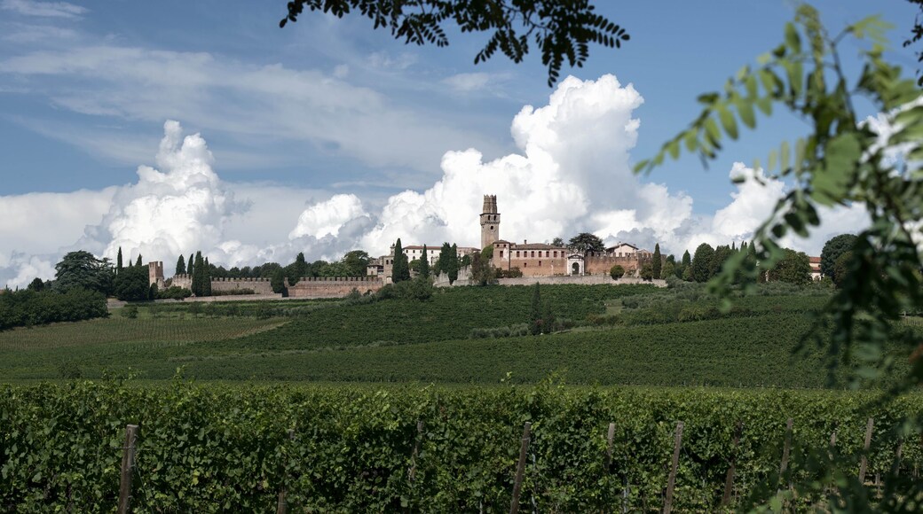 Susegana ed il Castello di San Salvatore immerso nei vigneti