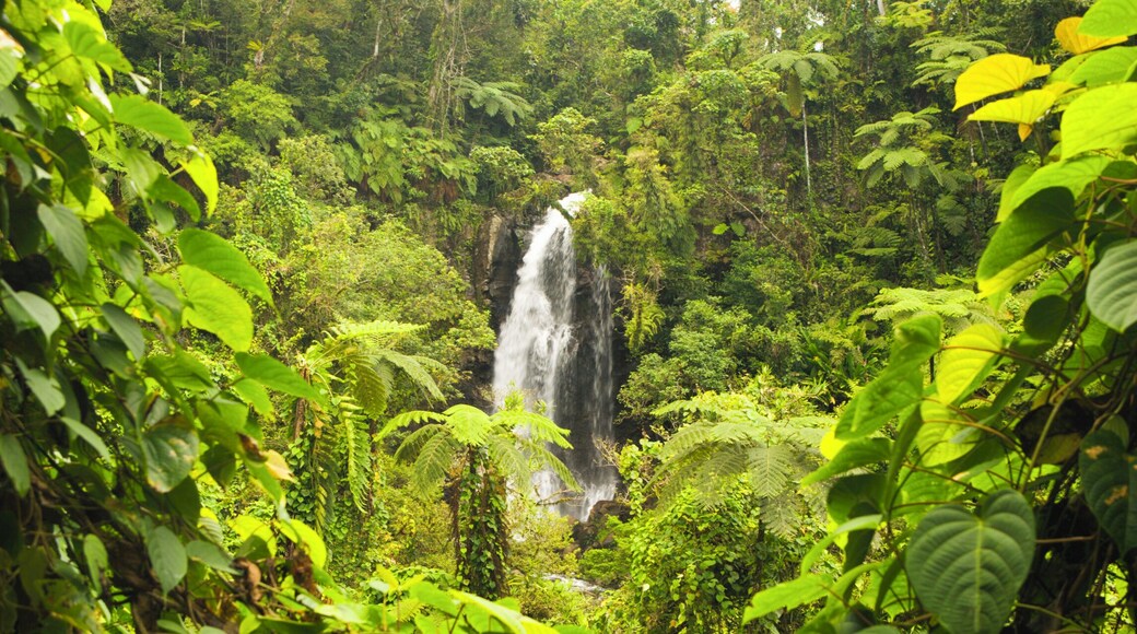 Fiji, Taveuni Island, Bouma Falls