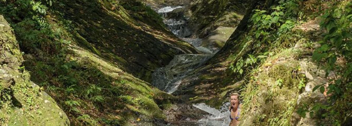 This is the Waitavala Water Slide, located on Taveuni Island in Fiji. It's naturally formed.