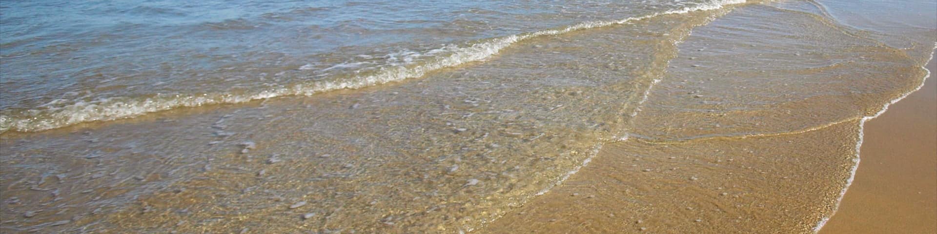 Mission Beach featuring a beach