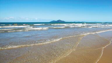 Mission Beach featuring a beach