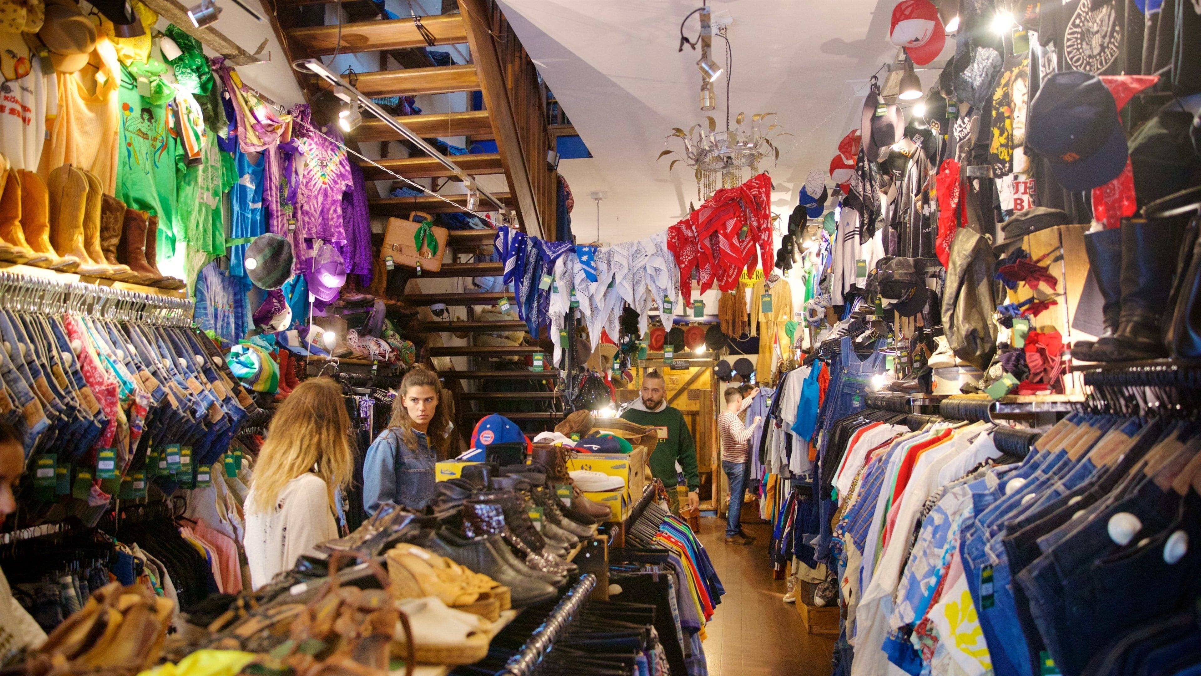 Paddington which includes interior views and shopping