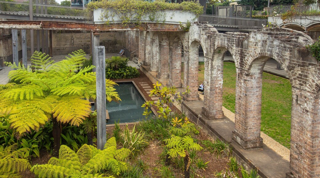 Paddington featuring heritage elements and a park
