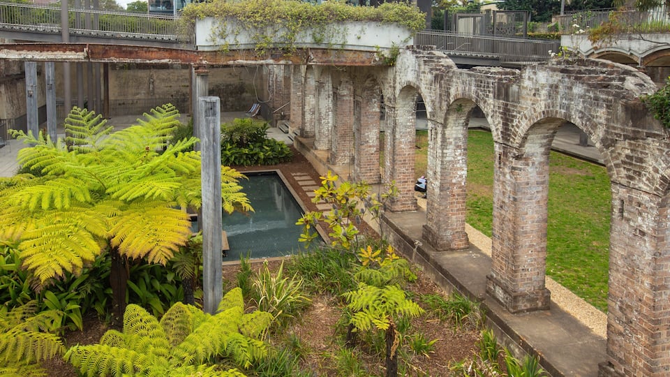 Paddington featuring heritage elements and a park