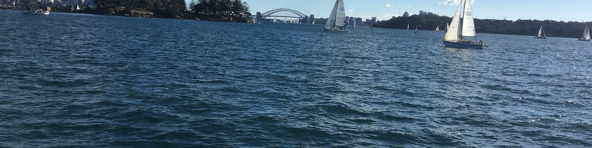 The ferry from Circular Quay to Rose Bay - Watson’s Bay has gorgeous views of Sydney Harbour.