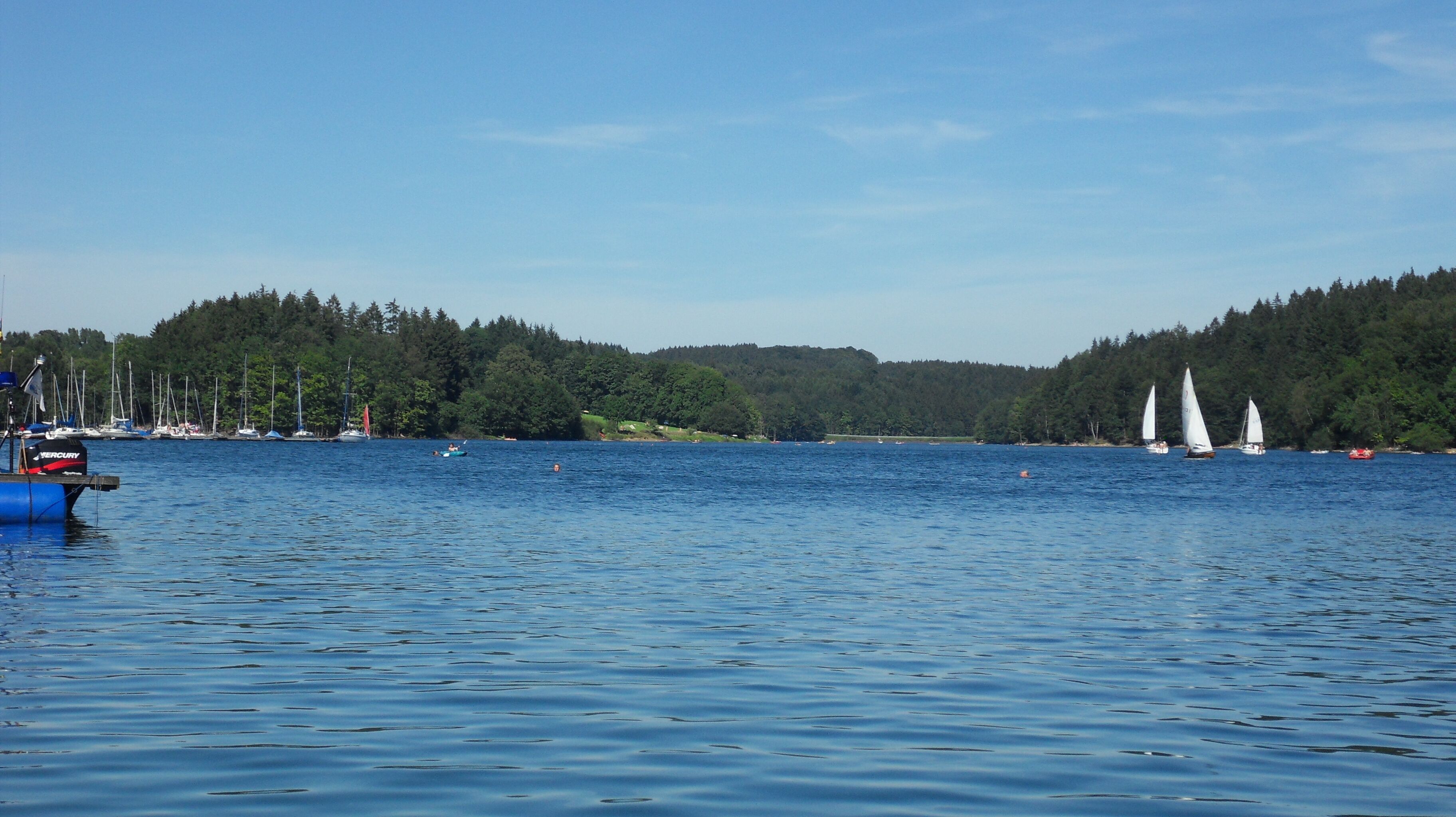 A calm lake with sailboats, a blue boat, and a forested shoreline.