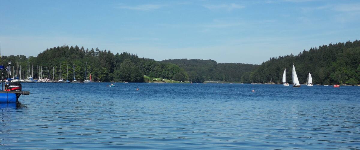 A calm lake with sailboats, a blue boat, and a forested shoreline.