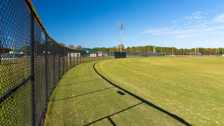Frank Brown Park which includes a sporting event