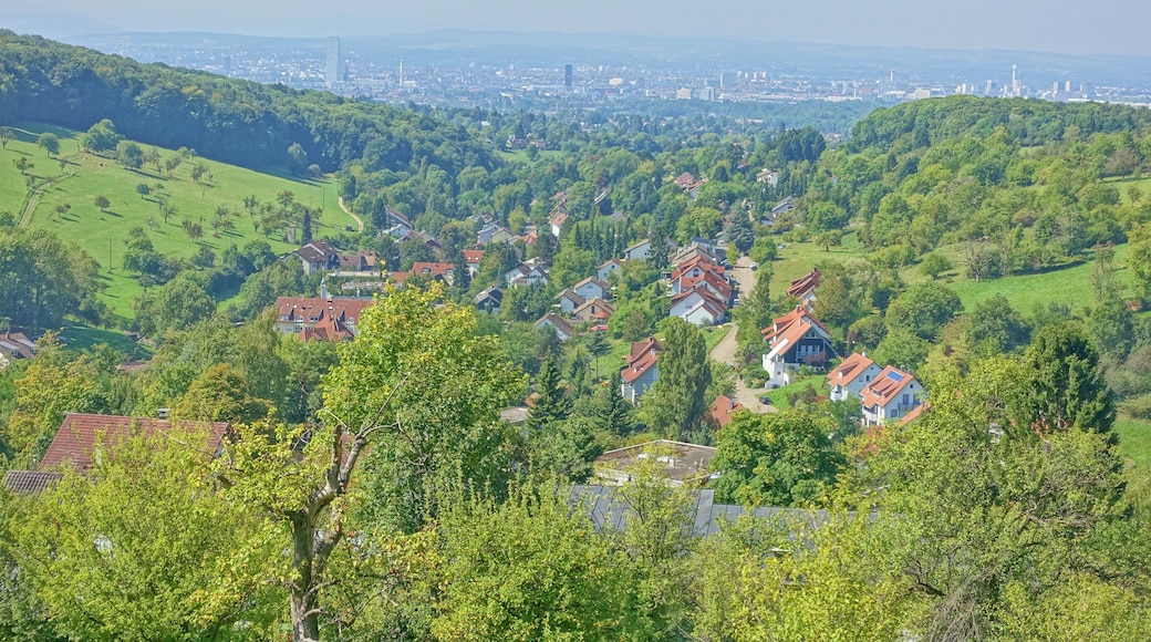 Im NSG mit Blick auf Basel