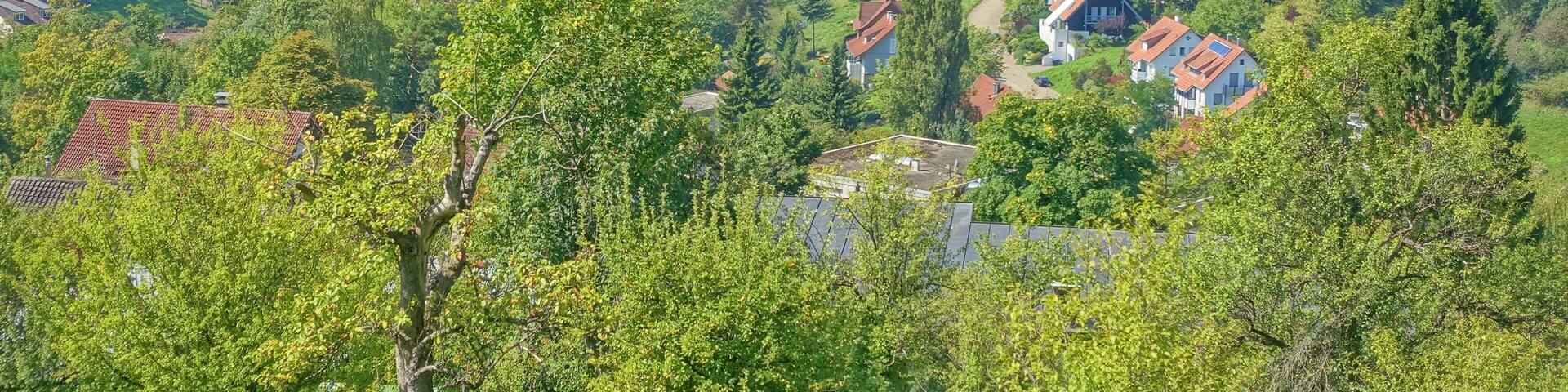 Im NSG mit Blick auf Basel