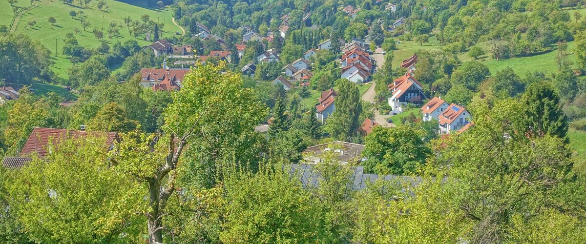 A town nestled in a valley with red-roofed houses, surrounded by lush greenery and hills.