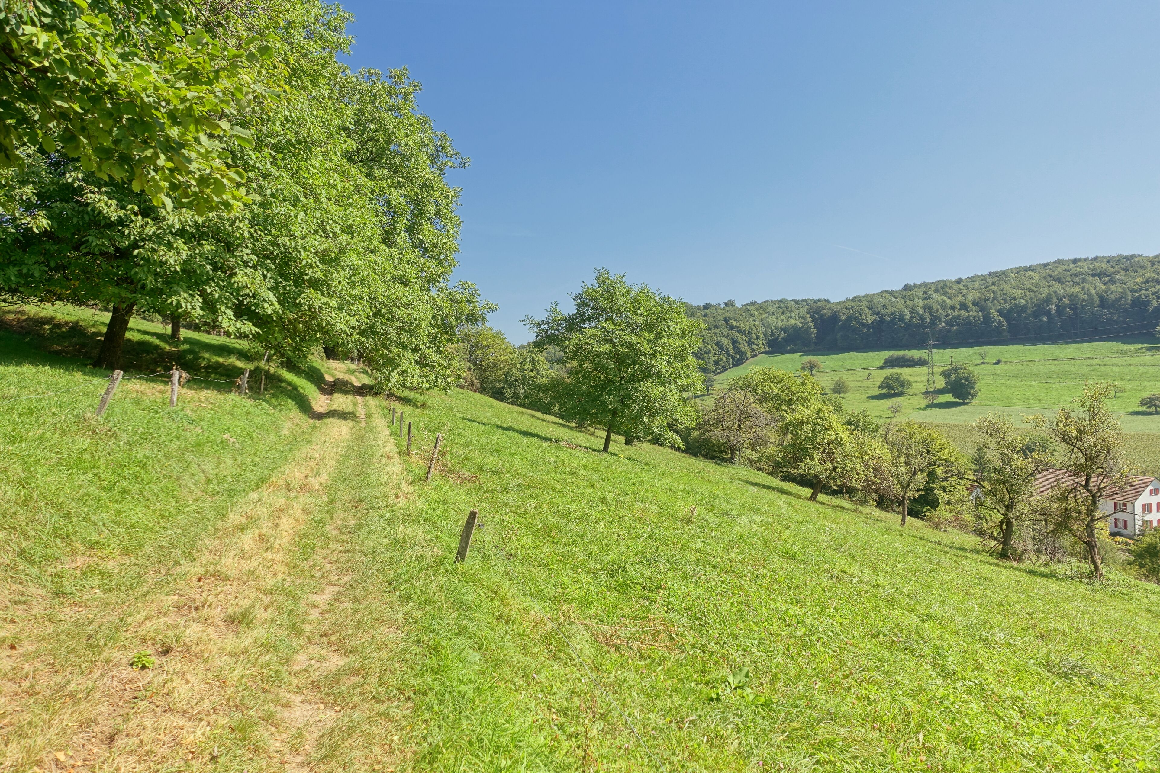 Naturnahe, seltene naturnahe Trockenwälder, Hecken, Halbtrockenrasen, Magerwiesen und Streuobstwiesen in extensiver Nutzung.