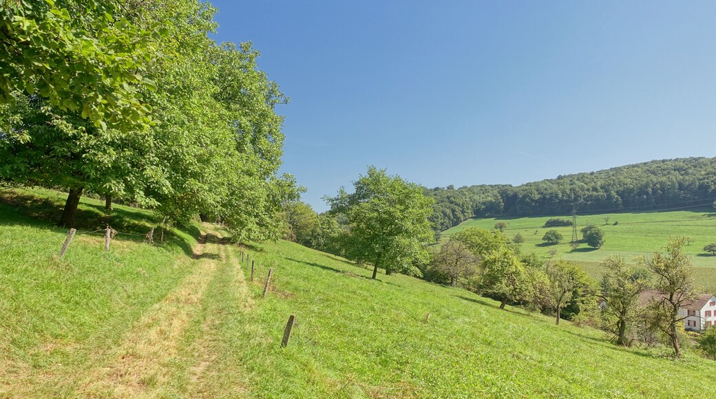 Naturnahe, seltene naturnahe Trockenwälder, Hecken, Halbtrockenrasen, Magerwiesen und Streuobstwiesen in extensiver Nutzung.