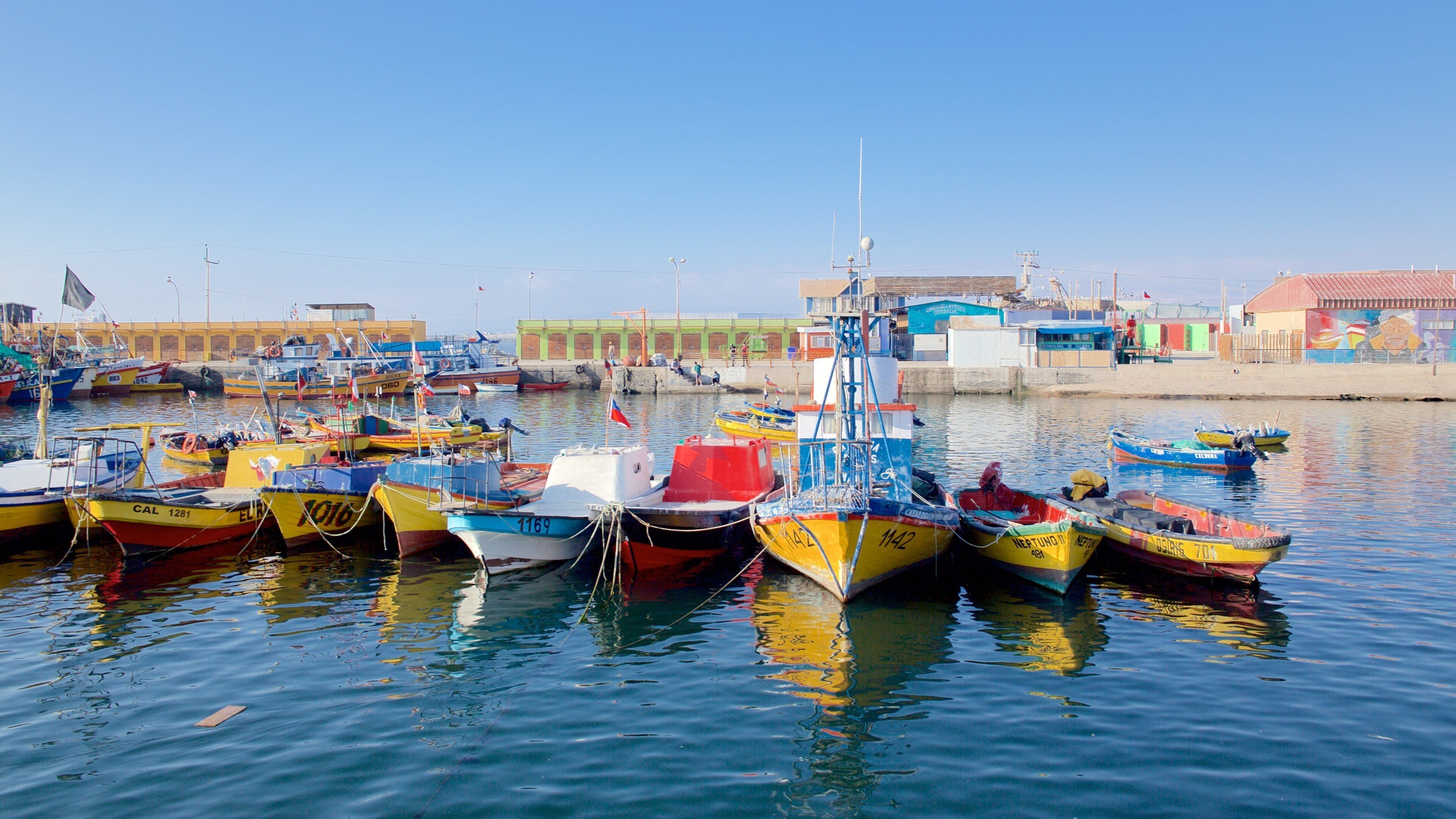 A harbor with colorful boats docked at the pier, buildings in the background, and a clear blue sky.
