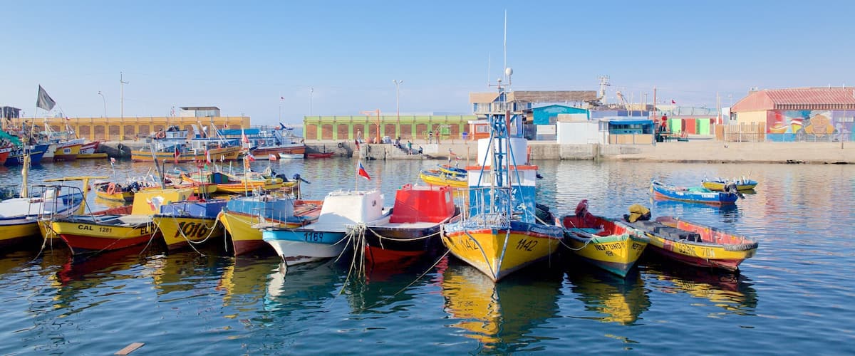 A harbor with colorful boats docked at the pier, buildings in the background, and a clear blue sky.