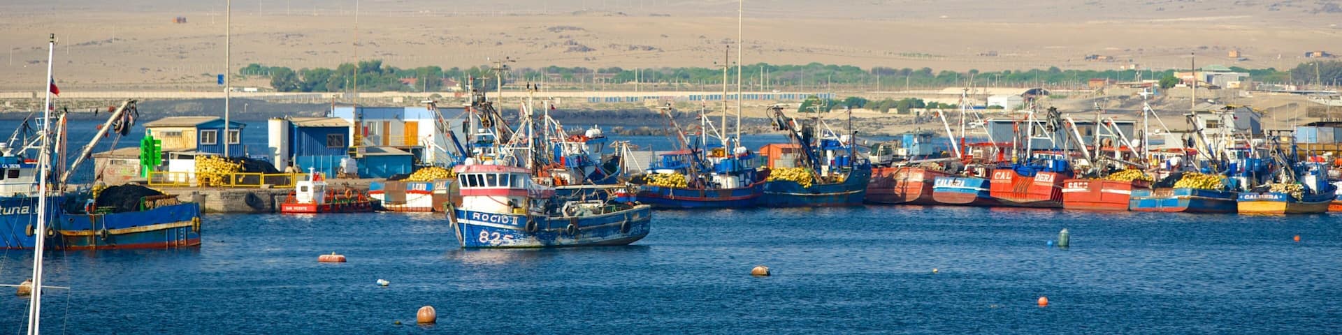 Caldera showing landscape views and a marina