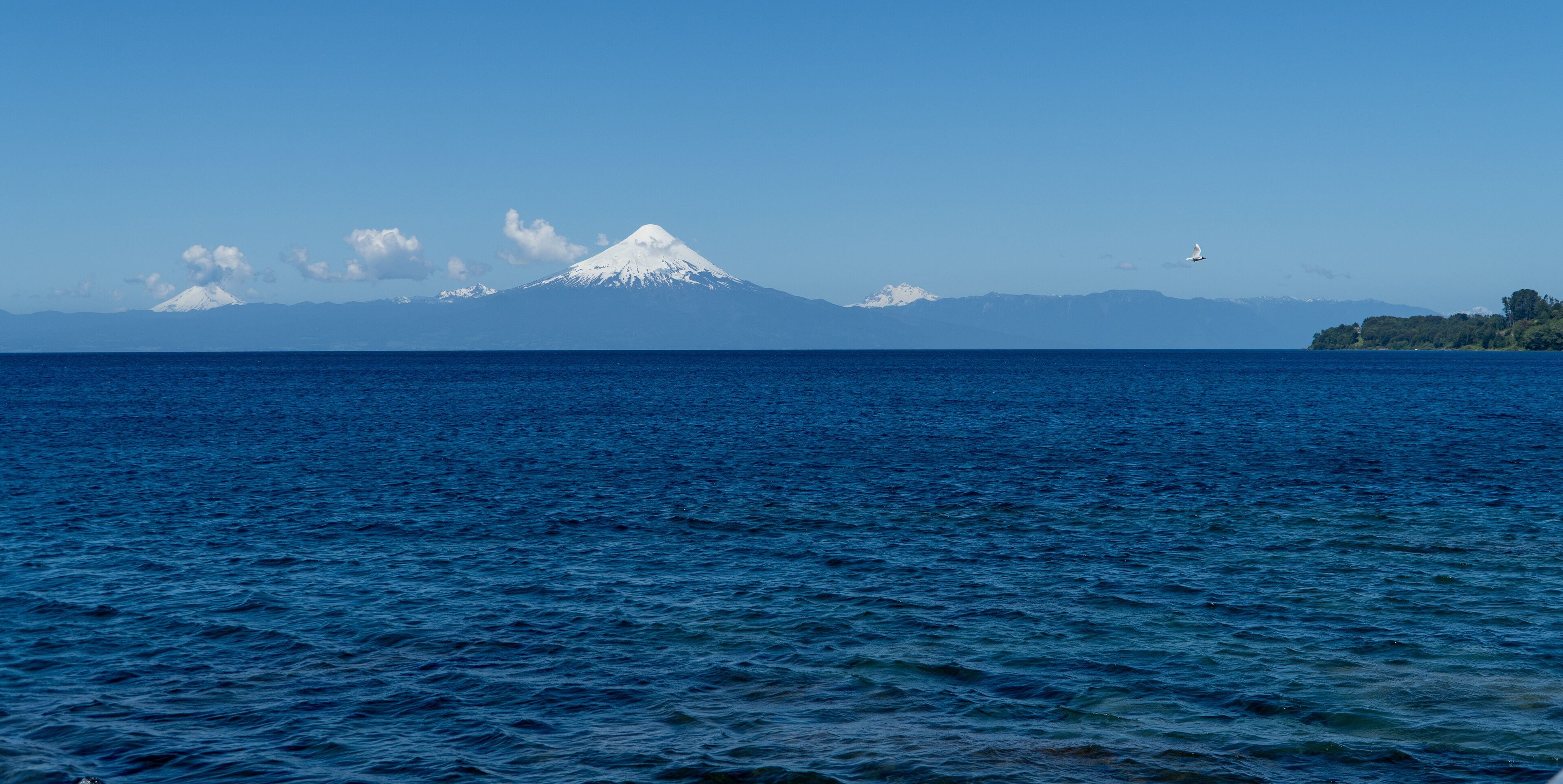 A snow-capped mountain, calm sea, and a distant bird flying over the water.