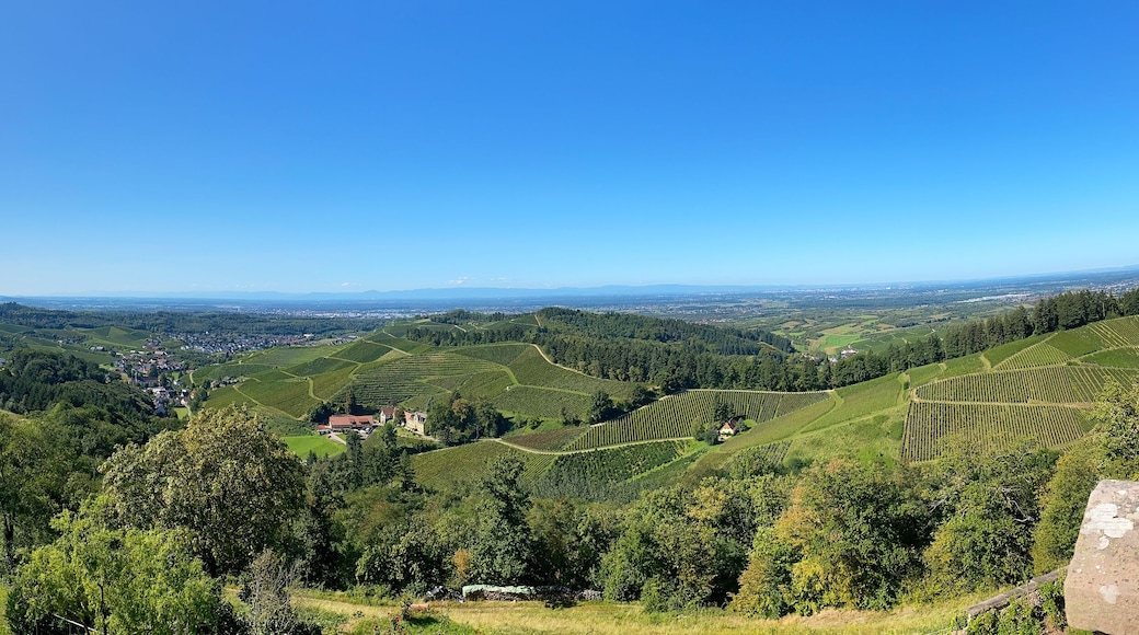 Blick vom Schloss Staufenberg auf Durbach und Umgebung, Ortenaukreis, Schwarzwald