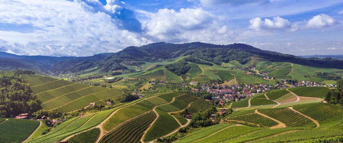 Paisaje de viñedo con campos en terrazas y un pequeño pueblo enclavado entre colinas ondulantes.