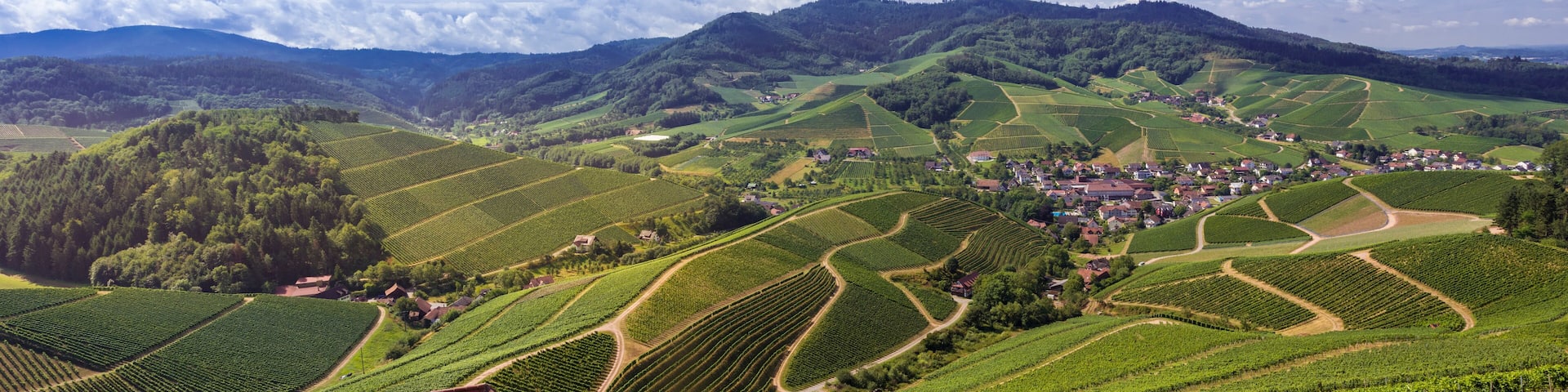 A vineyard landscape with terraced fields and a small village nestled among rolling hills.