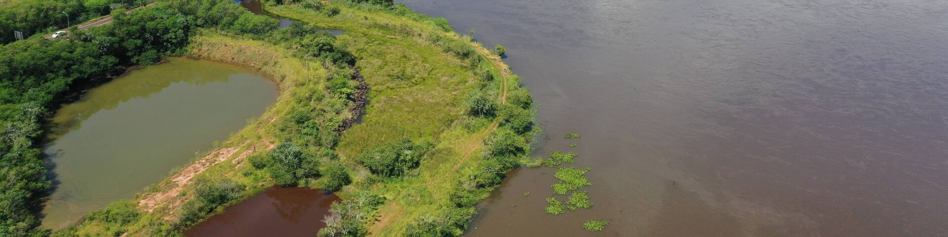 Ponte Internacional Ayrton Senna