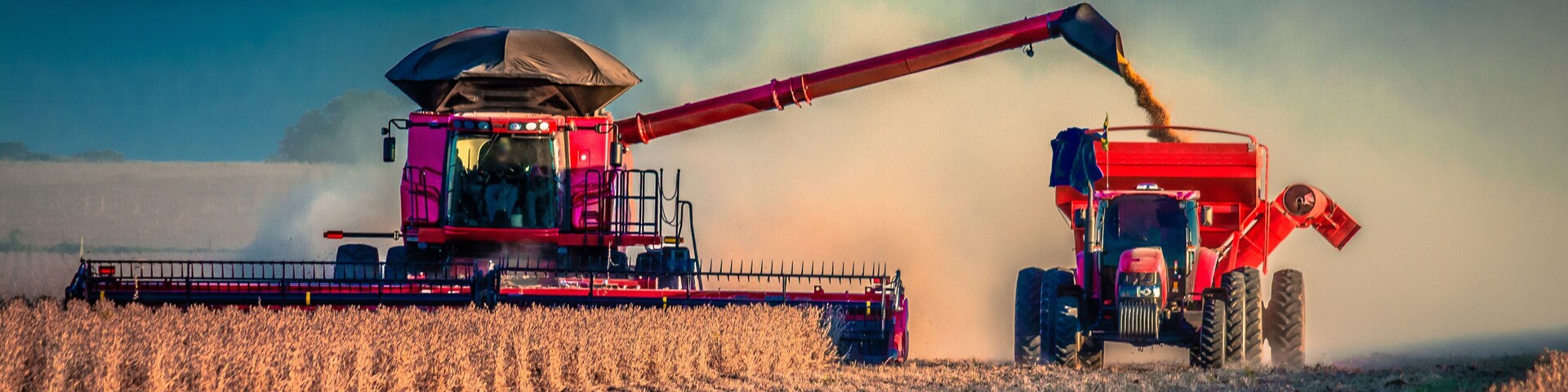 Agribusiness: Harvest Soybean, Agriculture - Agricultural Harverster Machine - Tapurah, Mato Grosso, Brazil.