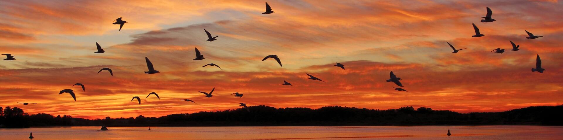 Abend im Müritz Nationalpark in der Mecklenburgischen Seenplatte,Mecklenburg-Vorpommern,Deutschland