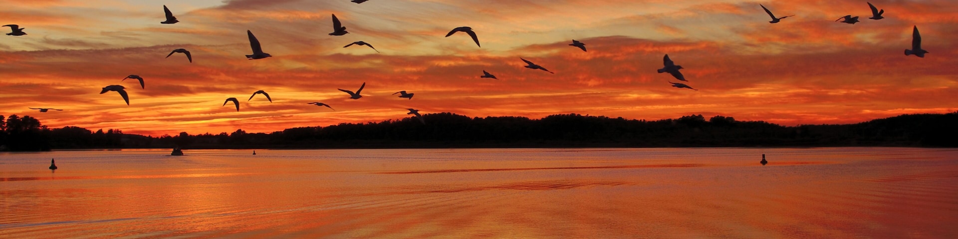 Abend im Müritz Nationalpark in der Mecklenburgischen Seenplatte,Mecklenburg-Vorpommern,Deutschland