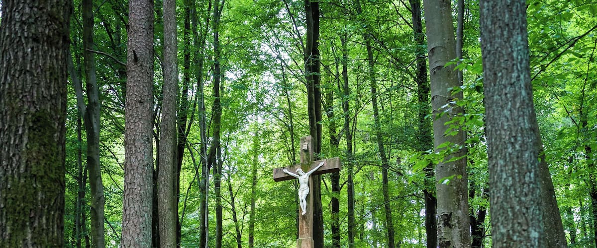 This is a photograph of an architectural monument. It is on the list of cultural monuments of Bayern, no. D-6-71-150-15