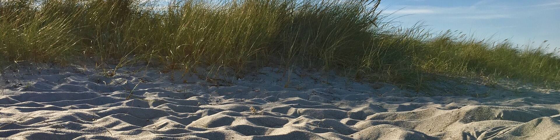 I took this photo on a beach day in autumn