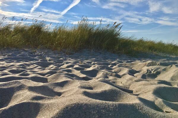 I took this photo on a beach day in autumn