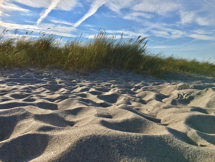 I took this photo on a beach day in autumn