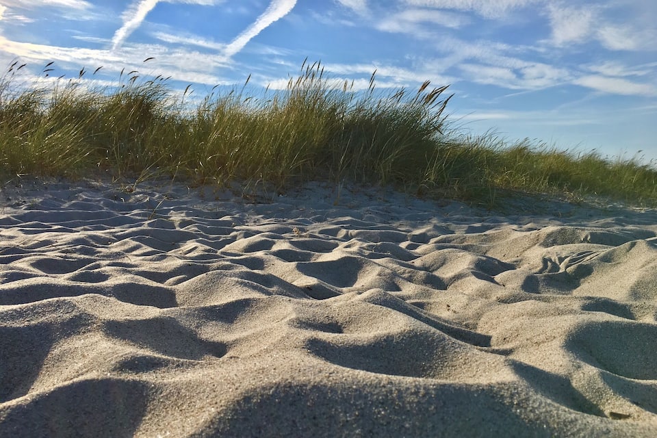 Una playa arenosa con hierba al fondo.