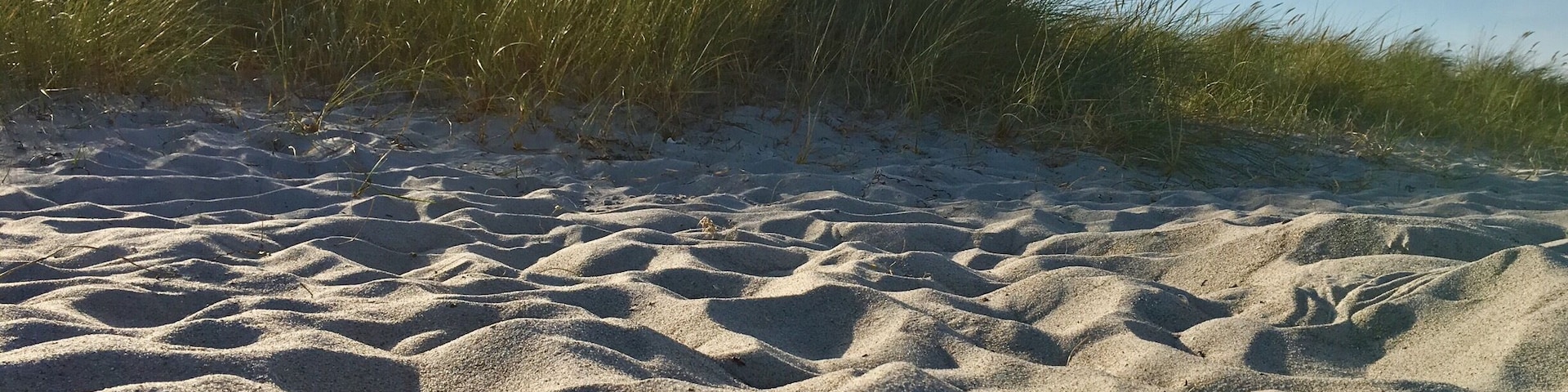 I took this photo on a beach day in autumn