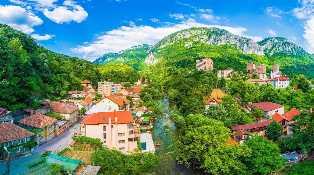 伯伊萊海爾庫拉內