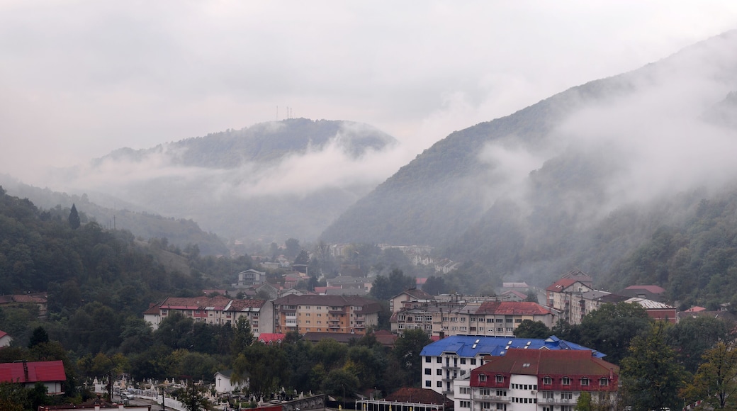 伯伊萊海爾庫拉內