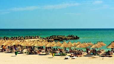 A beach with thatched umbrellas and lounge chairs.