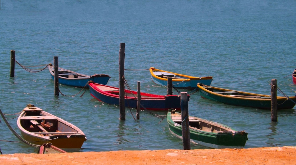 Barcos no cais de Grossos