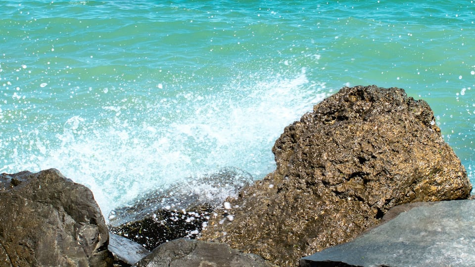 A rocky shoreline with clear turquoise water.