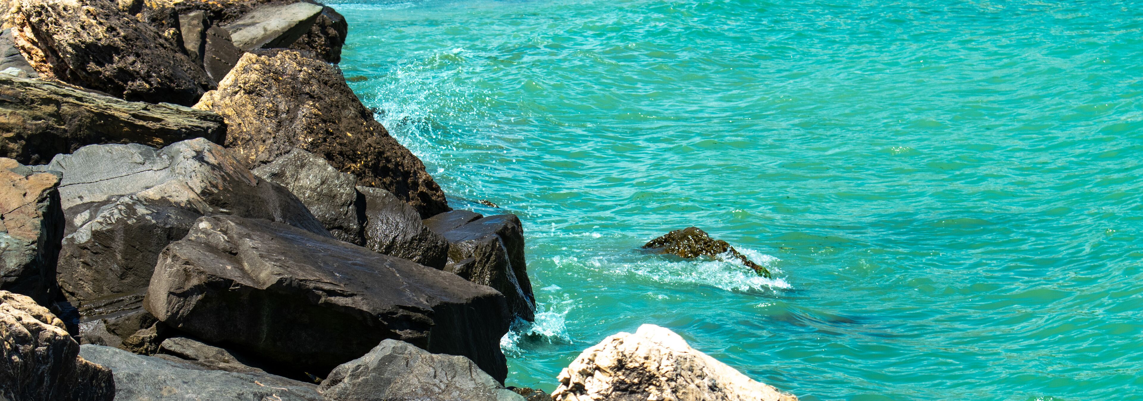 A rocky coastline with clear turquoise water and a small island.