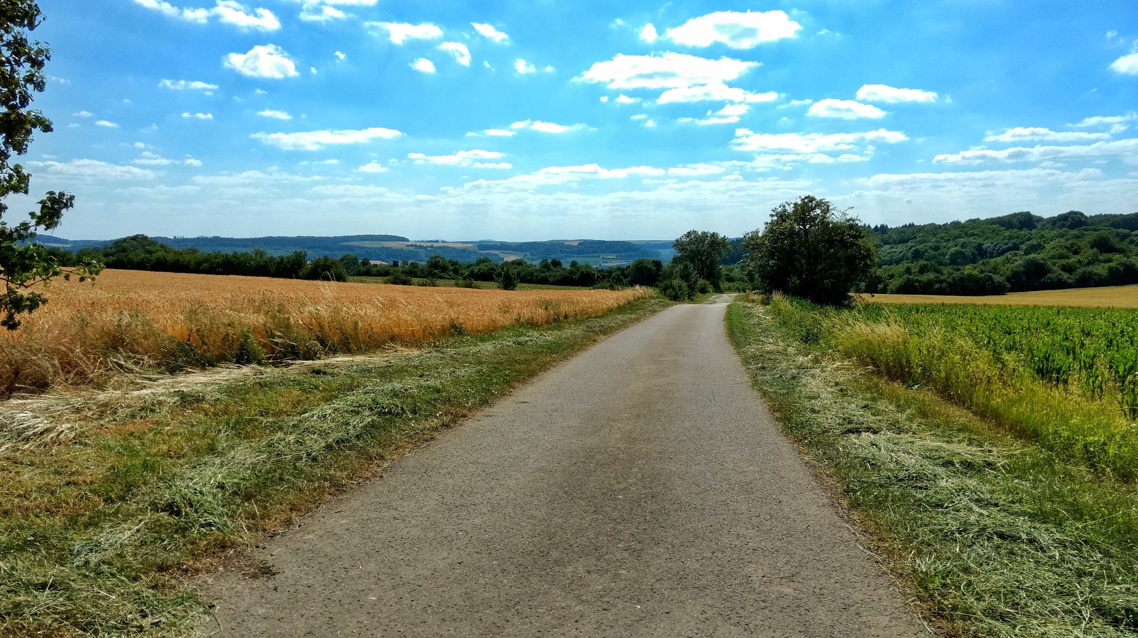 Blick über Harlingen